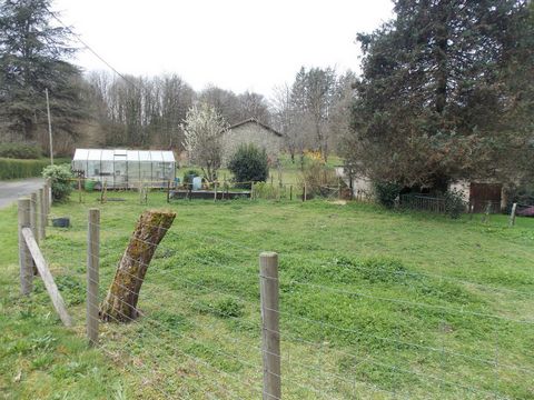 photo no. 19