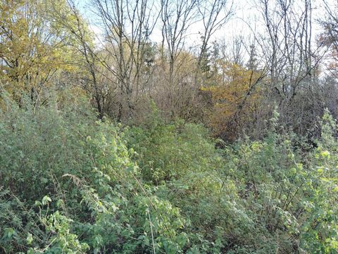 photo no. 10