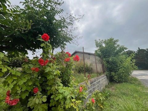 photo no. 1