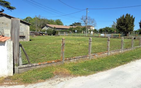 photo no. 1