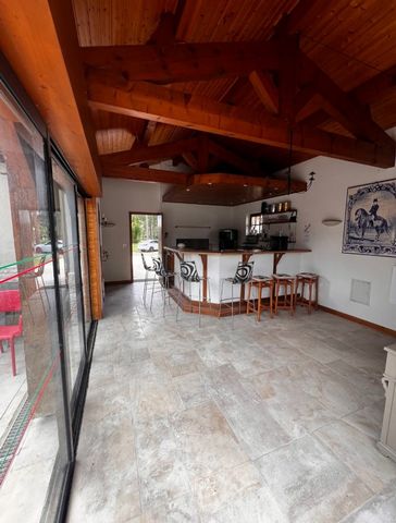 photo no. 16