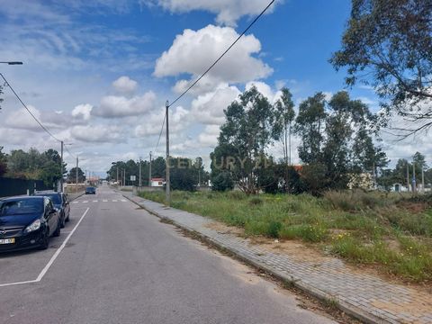 Lote de terreno urbano de 495 m2 na Quinta da Marquesa / Quinta do Anjo Palmela. Construção de uma Moradia Térrea ou com o máximo de dois pisos Área Bruta de Construção: 270 m2 Área Bruta dependente: 40m2 Área de Implantação do Edifício: 155 m2