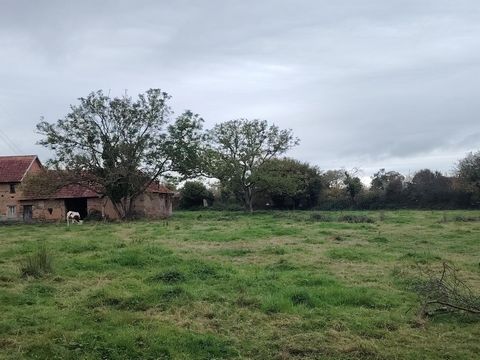 photo no. 12