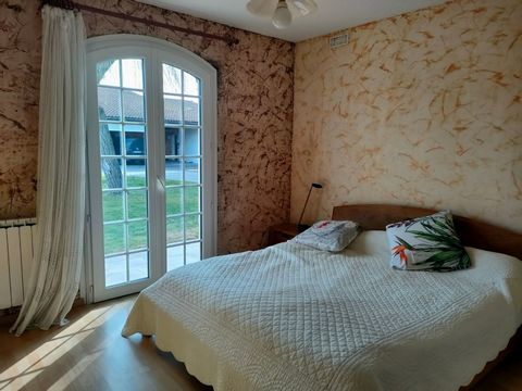 photo no. 18