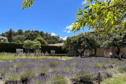 We offer comfortable and colourful apartments for approx. four people in holiday park Le Domaine de Bourgeac. There's an apartment for two people with one bedroom (FR-13520-04) and an apartment for four people with two bedrooms (FR-13520-05). Each ap...