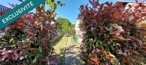 photo no. 13