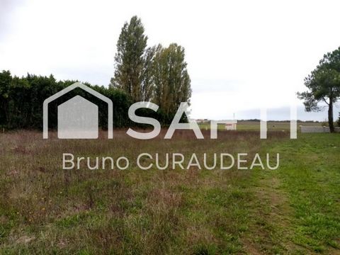 grand terrain constructible