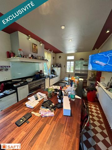 photo no. 12