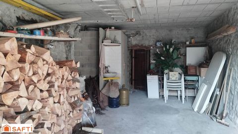 photo no. 12