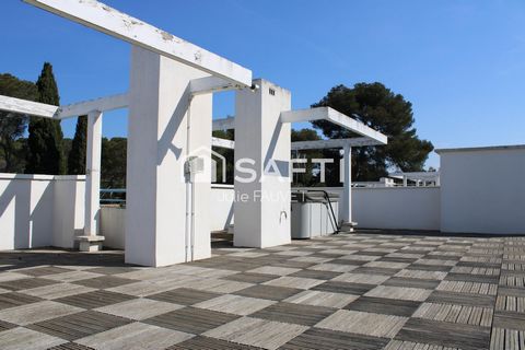 photo no. 13