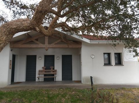 photo no. 2
