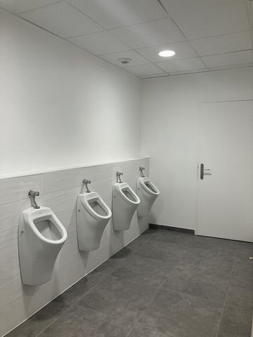 photo no. 7