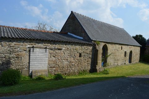 photo no. 5
