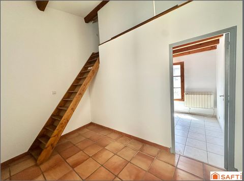 photo no. 13