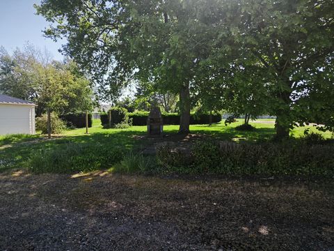 photo no. 13