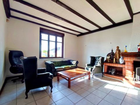 photo no. 6