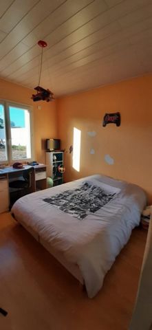 photo no. 9