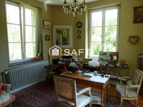 photo no. 11