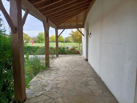 photo no. 6