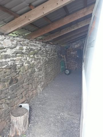photo no. 11