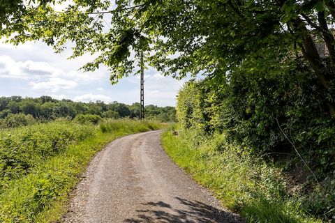 Experience peaceful nature in this charming 3-bedroom farmhouse in Sivry-Rance, perfect for groups of 6 or families. Dating back to the 18th century, the home blends rustic charm with modern comfort, featuring central heating, a cozy living-dining ro...
