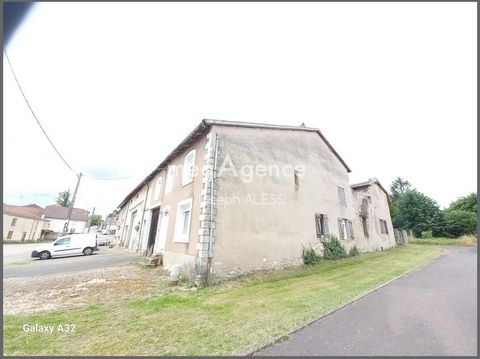 photo no. 10