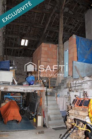 photo no. 7