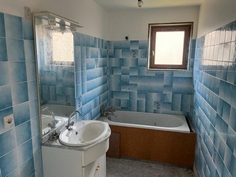 photo no. 12