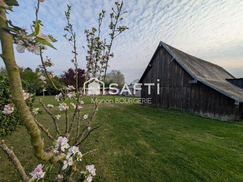 photo no. 14