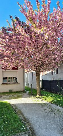 photo no. 13