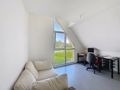 photo no. 14