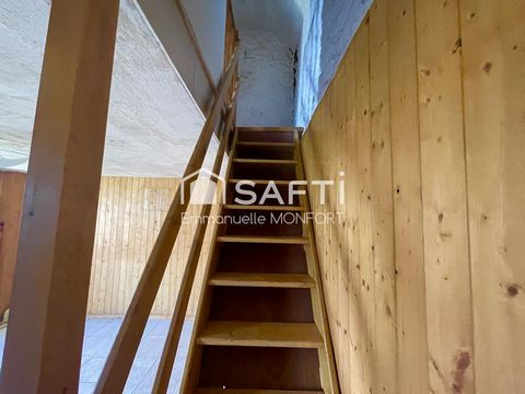 photo no. 6