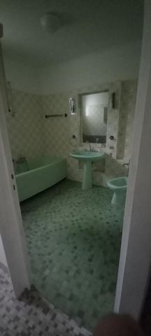 photo no. 12