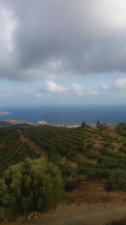 Roussa Ekklisia Building plot of 1000m2 with olive trees. It is inside the village plan with a building right of 250m2. The water and electricity are nearby. The plot has good access. It enjoys views to the mountains and the sea and is just 10km from...