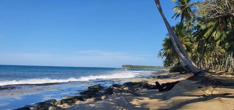 Beach Front Land For Sale, Miches Laguna Beach, a developers dream. Offering miles of untouched virgin coast where the coconuts literally fall off the trees in your path. The area of Miches has caught the attention of the big developers, with the Clu...
