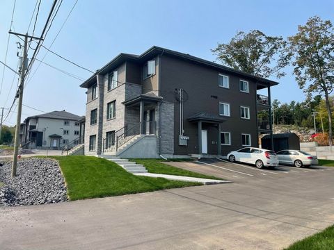 Triplex with modern style 100% above ground construction 2021, located in a new sector of the Municipality of Ste-Julienne, facing a school, peaceful and family area. Ideal location near major highways Highway 25, Route 125. Excellent rental income. ...