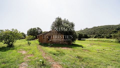 Over six hectares of land , with two ruins and an orchard , is for sale in the Lagos region of Algarve. Due to its flat terrain and irrigation system from the Bravura dam , this property is ideal for those who desire to develop agricultural projects ...