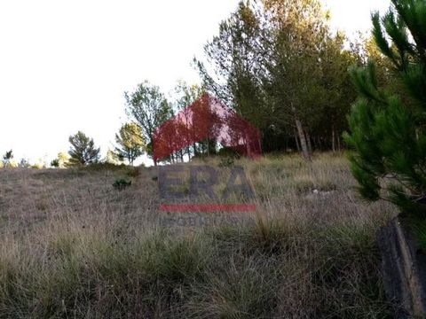 Rustic land with 1600m2 located in Vilar, Cadaval. For more information or to schedule your visit contact us at the number: (+ (phone hidden) *The information provided is for information purposes only, not binding, and does not exempt inquiring the m...