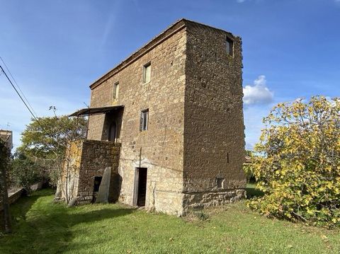 Vetralla, Strada Mazzacotto, bieden wij de verkoop aan van een oude boerderij van 294 vierkante meter, gebouwd in lokale steen, volledig te restaureren, op vier niveaus en gelegen in de directe omgeving van het dorp. De woning is gemakkelijk bereikba...