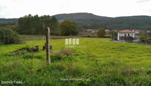Land construction plan with 2600 m2 for sale in the parish of Cornes, municipality of Vila Nova de Cerveira. The grounds have unobstructed views. The land is located in a very quiet residential area, with excellent sun exposure, with paved access and...