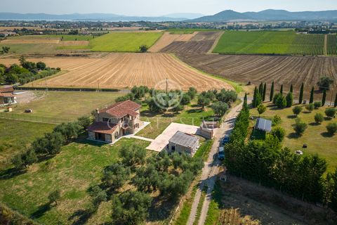 Podere Girasole is on two levels for a total of 243 sqm. On the ground floor we find the large living area with fireplace and open kitchen, a magnificent solar greenhouse, a bathroom and a practical laundry room. The first floor, connected by both an...