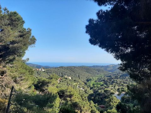 Inside the marvellous Montnegre Natural Park, 6 km from wonderful beaches and 50 from Barcelona (with train and bus connections). You will be between mountains, sea and beautiful towns (Girona/Mataro/Barcelona) Indipendent Tiny-house of 16 mq designe...
