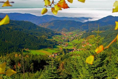 Schwarzwald Ferienhaus in traumhafter Lage. Ideal zur Erholung, Wandern, Entspannen und Genießen. Natur erleben im Nationalpark Schwarzwald.
