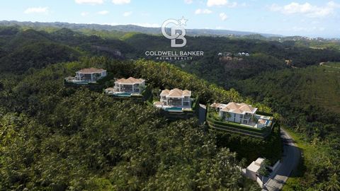 Cette belle propriété située sur une colline avec une vue imprenable sur l’océan Atlantique et l’épaisse forêt tropicale offre une superbe vie à Las Terrenas. Vous serez accueillis par une barrière de sécurité et une entrée spectaculaire en cascade a...
