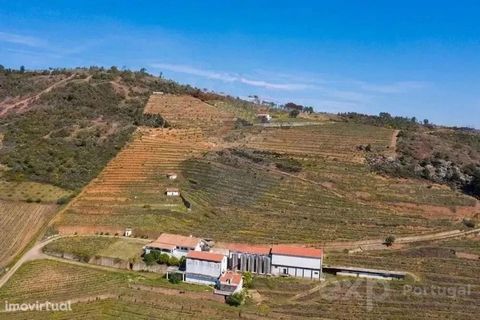 A Quinta vinícola de São Gonçalo encontra-se na região geográfica protegida do Douro (Douro DOP), a 1 km do centro histórico de Vila Flor e a 1,5 km da autoestrada que liga a Espanha (30 minutos) e Porto (90 minutos), sendo uma das propriedades mais ...