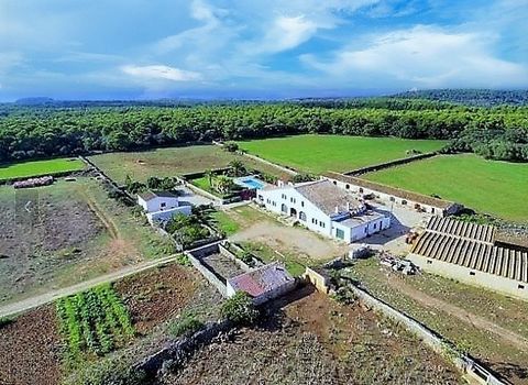 MENORCA IS A NEARBY PARADISE, Spacious country house located in the charming rural area of Es Mercadal. With an extensive plot of 2,296,511m², this property offers a total of 1,000m² of living space, accompanied by another approximately 1,000m² of he...