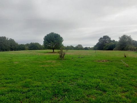 Exclusively in the town of Montlieu La Garde, Magnificent building land of 14,288 m2 including approximately 5,500 m2 not buildable, planned to accommodate a minimum of 9 housing units. Partially serviced for a single accommodation (water meter and e...