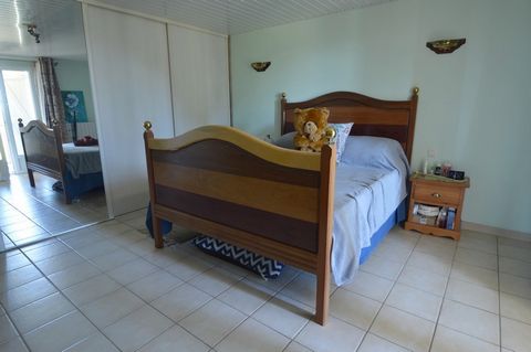 photo no. 11