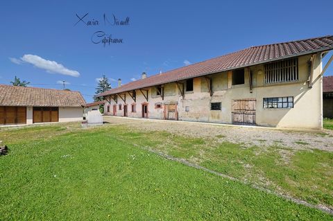 Dpt Ain (01), à vendre proche de COLIGNY maison P4 de 113 m² - Terrain de 2100