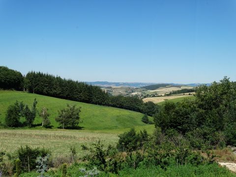 photo no. 1